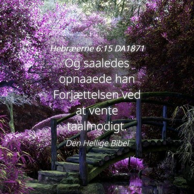 Picture 04 - Hebræerne 6:15 DA1871 - Og saaledes opnaaede han Forjættelsen ved at - Bible Verse Picture