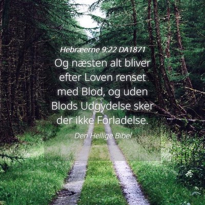 Picture 04 - Hebræerne 9:22 DA1871 - Og næsten alt bliver efter Loven renset med - Bible Verse Picture