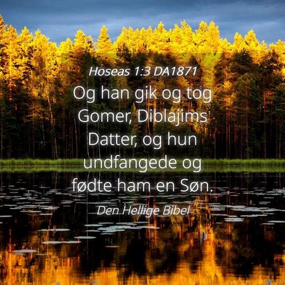 Picture 04 - Hoseas 1:3 DA1871 - Og han gik og tog Gomer, Diblajims Datter, og hun - Bible Verse Picture