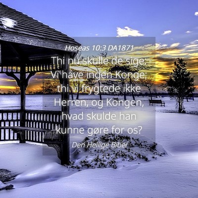 Picture 04 - Hoseas 10:3 DA1871 - Thi nu skulle de sige: Vi have ingen Konge; thi - Bible Verse Picture