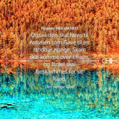 Picture 04 - Hoseas 10:6 DA1871 - Ogsaa den skal føres til Assyrien som Gave til - Bible Verse Picture