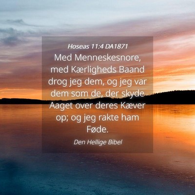 Picture 04 - Hoseas 11:4 DA1871 - Med Menneskesnore, med Kærligheds Baand drog jeg - Bible Verse Picture