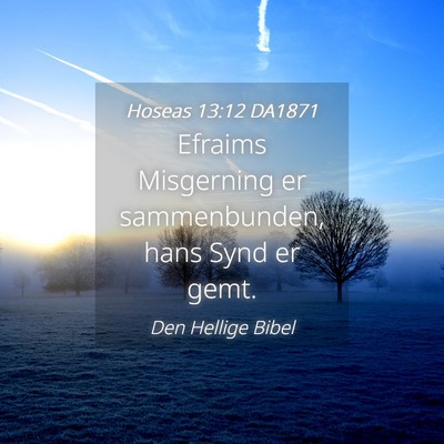 Picture 04 - Hoseas 13:12 DA1871 - Efraims Misgerning er sammenbunden, hans Synd er - Bible Verse Picture