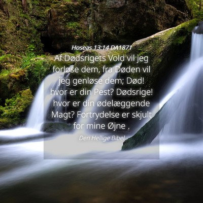 Picture 04 - Hoseas 13:14 DA1871 - Af Dødsrigets Vold vil jeg forløse dem, fra - Bible Verse Picture