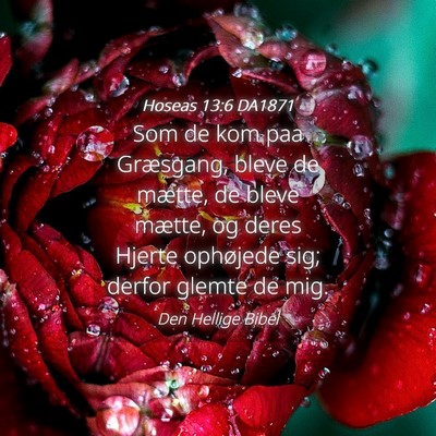 Picture 04 - Hoseas 13:6 DA1871 - Som de kom paa Græsgang, bleve de mætte, de - Bible Verse Picture