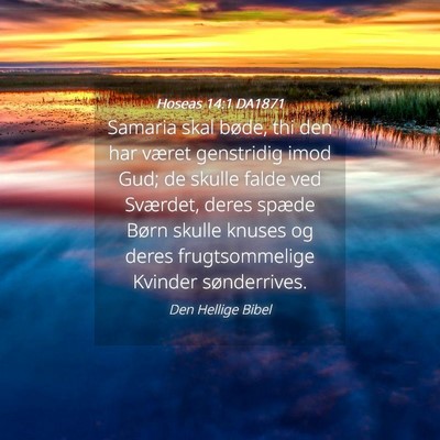 Picture 04 - Hoseas 14:1 DA1871 - Samaria skal bøde, thi den har været genstridig - Bible Verse Picture
