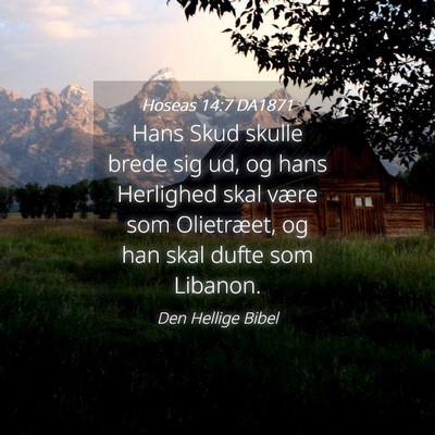 Picture 04 - Hoseas 14:7 DA1871 - Hans Skud skulle brede sig ud, og hans Herlighed - Bible Verse Picture