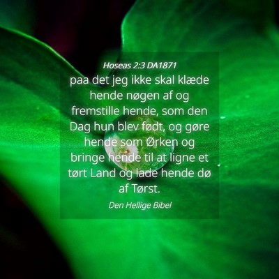 Picture 04 - Hoseas 2:3 DA1871 - paa det jeg ikke skal klæde hende nøgen af og - Bible Verse Picture