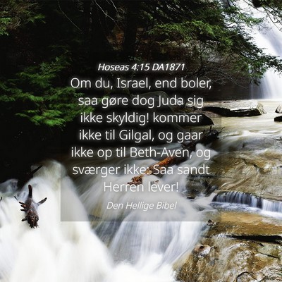 Picture 04 - Hoseas 4:15 DA1871 - Om du, Israel, end boler, saa gøre dog Juda sig - Bible Verse Picture