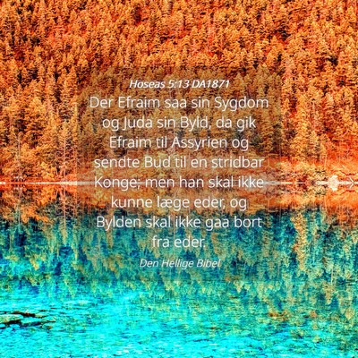 Picture 04 - Hoseas 5:13 DA1871 - Der Efraim saa sin Sygdom og Juda sin Byld, da - Bible Verse Picture