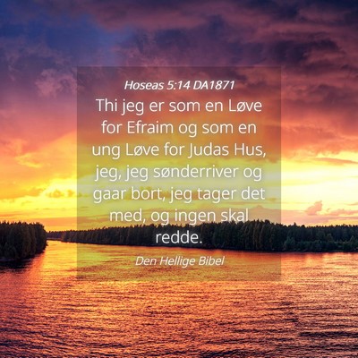 Picture 04 - Hoseas 5:14 DA1871 - Thi jeg er som en Løve for Efraim og som en ung - Bible Verse Picture