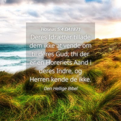 Picture 04 - Hoseas 5:4 DA1871 - Deres Idrætter tillade dem ikke at vende om til - Bible Verse Picture