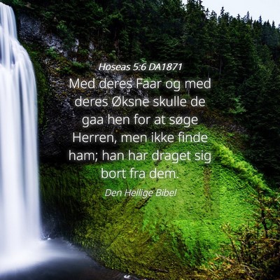 Picture 04 - Hoseas 5:6 DA1871 - Med deres Faar og med deres Øksne skulle de gaa - Bible Verse Picture