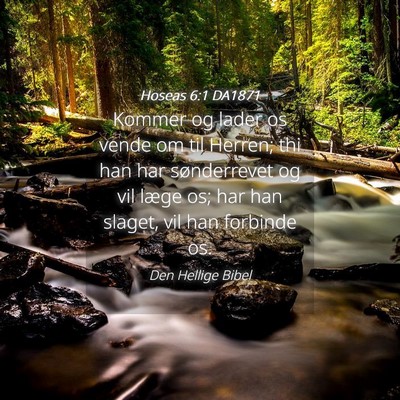 Picture 04 - Hoseas 6:1 DA1871 - Kommer og lader os vende om til Herren; thi han - Bible Verse Picture