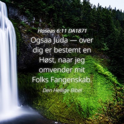 Picture 04 - Hoseas 6:11 DA1871 - Ogsaa Juda — over dig er bestemt en Høst, naar - Bible Verse Picture