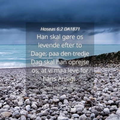Picture 04 - Hoseas 6:2 DA1871 - Han skal gøre os levende efter to Dage; paa den - Bible Verse Picture