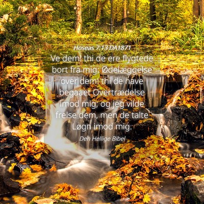 Picture 04 - Hoseas 7:13 DA1871 - Ve dem! thi de ere flygtede bort fra mig; - Bible Verse Picture