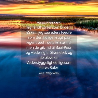 Picture 04 - Hoseas 9:10 DA1871 - Jeg fandt Israel som Druer i Ørken, jeg saa - Bible Verse Picture
