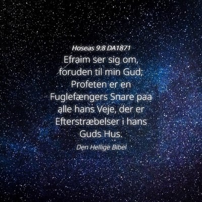 Picture 04 - Hoseas 9:8 DA1871 - Efraim ser sig om, foruden til min Gud; Profeten - Bible Verse Picture