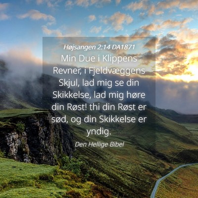 Picture 04 - Højsangen 2:14 DA1871 - Min Due i Klippens Revner, i Fjeldvæggens Skjul, - Bible Verse Picture