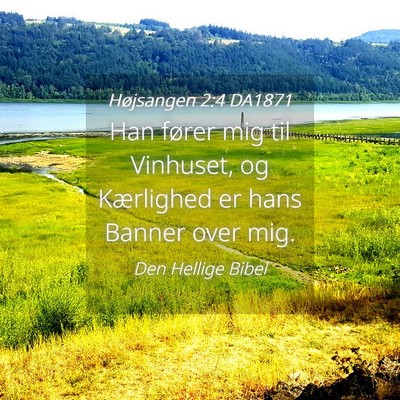 Picture 04 - Højsangen 2:4 DA1871 - Han fører mig til Vinhuset, og Kærlighed er - Bible Verse Picture