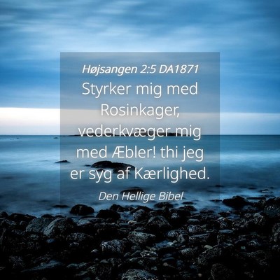Picture 04 - Højsangen 2:5 DA1871 - Styrker mig med Rosinkager, vederkvæger mig med - Bible Verse Picture