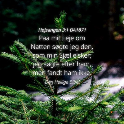 Picture 04 - Højsangen 3:1 DA1871 - Paa mit Leje om Natten søgte jeg den, som min - Bible Verse Picture