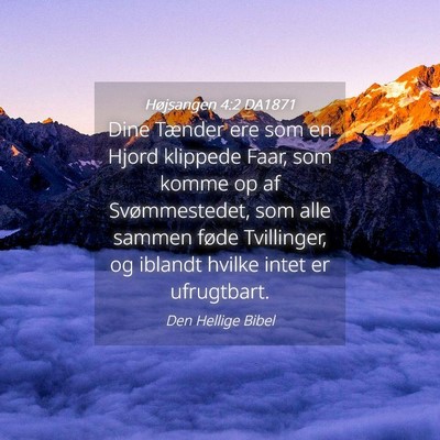 Picture 04 - Højsangen 4:2 DA1871 - Dine Tænder ere som en Hjord klippede Faar, som - Bible Verse Picture
