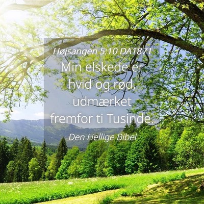 Picture 04 - Højsangen 5:10 DA1871 - Min elskede er hvid og rød, udmærket fremfor ti - Bible Verse Picture