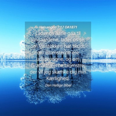 Picture 04 - Højsangen 7:12 DA1871 - Lader os aarle gaa til Vingaardene, lader os se, - Bible Verse Picture