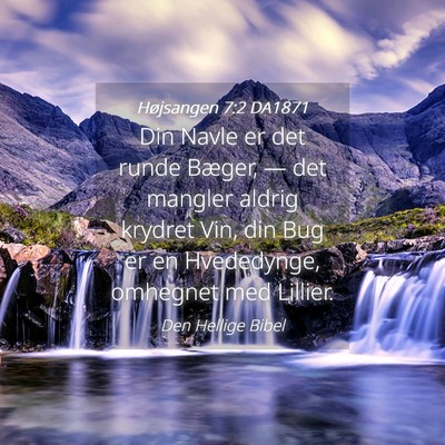 Picture 04 - Højsangen 7:2 DA1871 - Din Navle er det runde Bæger, — det mangler - Bible Verse Picture