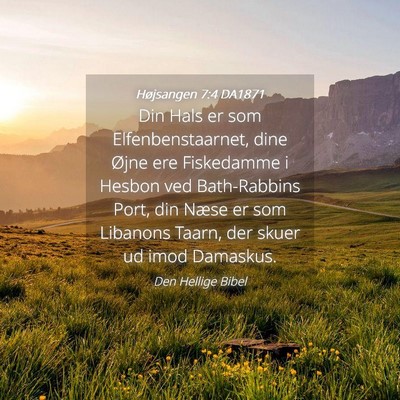 Picture 04 - Højsangen 7:4 DA1871 - Din Hals er som Elfenbenstaarnet, dine Øjne ere - Bible Verse Picture