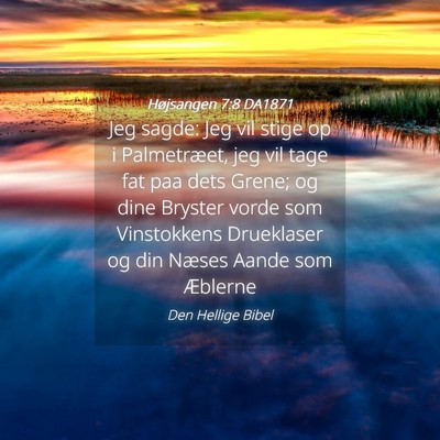 Picture 04 - Højsangen 7:8 DA1871 - Jeg sagde: Jeg vil stige op i Palmetræet, jeg - Bible Verse Picture
