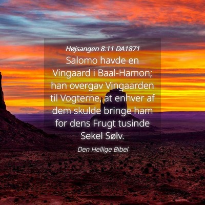 Picture 04 - Højsangen 8:11 DA1871 - Salomo havde en Vingaard i Baal-Hamon; han - Bible Verse Picture