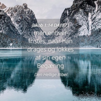Picture 04 - Jakob 1:14 DA1871 - men enhver fristes, naar han drages og lokkes af - Bible Verse Picture