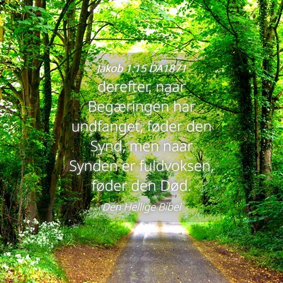 Picture 04 - Jakob 1:15 DA1871 - derefter, naar Begæringen har undfanget, føder - Bible Verse Picture