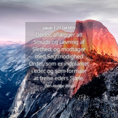 Picture 04 - Jakob 1:21 DA1871 - Derfor, aflægger alt Smuds og Levning af - Bible Verse Picture