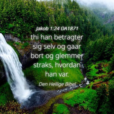 Picture 04 - Jakob 1:24 DA1871 - thi han betragter sig selv og gaar bort og - Bible Verse Picture