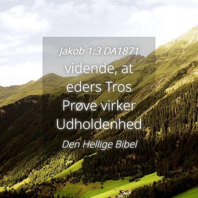Picture 04 - Jakob 1:3 DA1871 - vidende, at eders Tros Prøve virker - Bible Verse Picture