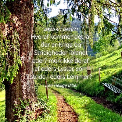 Picture 04 - Jakob 4:1 DA1871 - Hvoraf kommer det, at der er Krige og - Bible Verse Picture