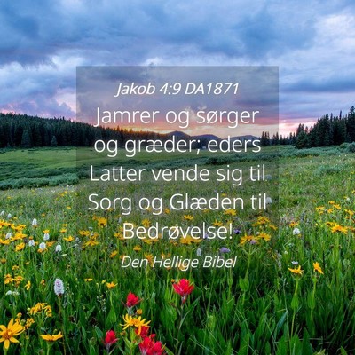 Picture 04 - Jakob 4:9 DA1871 - Jamrer og sørger og græder; eders Latter vende - Bible Verse Picture