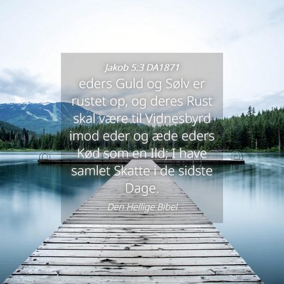 Picture 04 - Jakob 5:3 DA1871 - eders Guld og Sølv er rustet op, og deres Rust - Bible Verse Picture