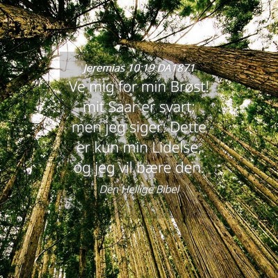 Picture 04 - Jeremias 10:19 DA1871 - Ve mig for min Brøst! mit Saar er svart; men jeg - Bible Verse Picture