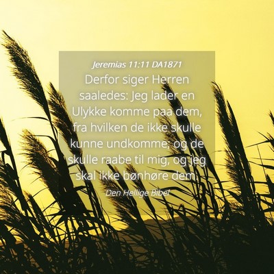 Picture 04 - Jeremias 11:11 DA1871 - Derfor siger Herren saaledes: Jeg lader en Ulykke - Bible Verse Picture