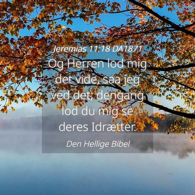 Picture 04 - Jeremias 11:18 DA1871 - Og Herren lod mig det vide, saa jeg ved det; - Bible Verse Picture