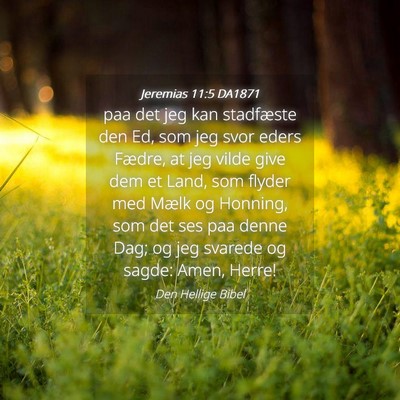 Picture 04 - Jeremias 11:5 DA1871 - paa det jeg kan stadfæste den Ed, som jeg svor - Bible Verse Picture