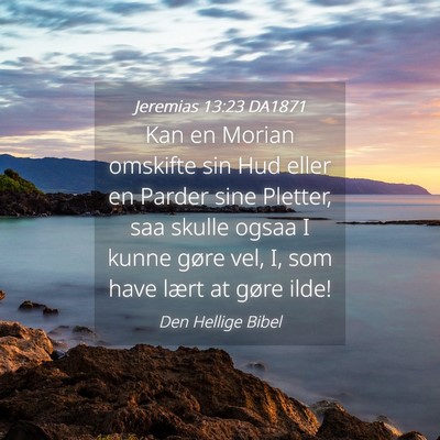 Picture 04 - Jeremias 13:23 DA1871 - Kan en Morian omskifte sin Hud eller en Parder - Bible Verse Picture