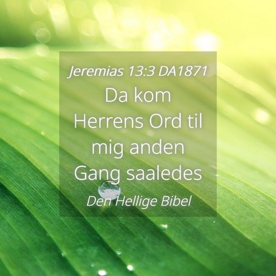 Picture 04 - Jeremias 13:3 DA1871 - Da kom Herrens Ord til mig anden Gang - Bible Verse Picture