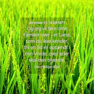 Picture 04 - Jeremias 15:14 DA1871 - Og jeg vil føre dine Fjender over i et Land, som - Bible Verse Picture
