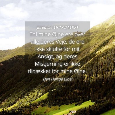 Picture 04 - Jeremias 16:17 DA1871 - Thi mine Øjne ere over alle deres Veje, de ere - Bible Verse Picture